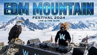 Alan Walker Vibes X EDM Mountain - The Last Cloud Empire
