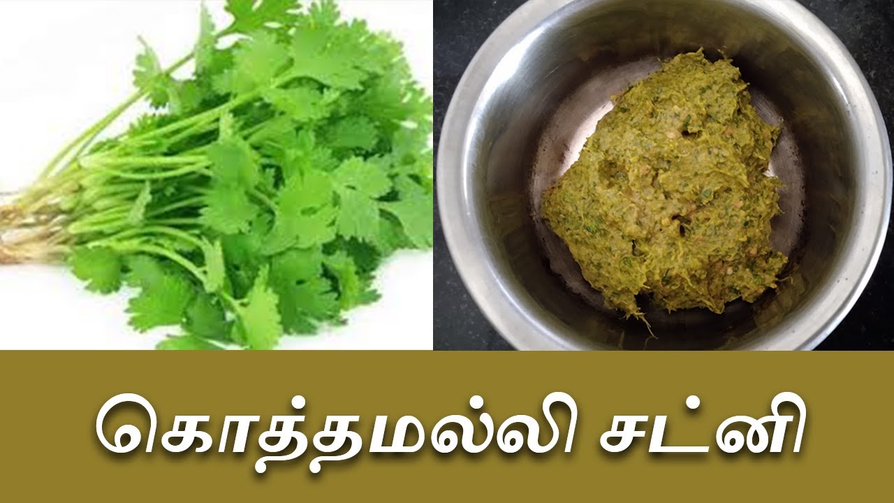 Kothamalli Chutney in Tamil Coriander Chutney Recipe In Tamil How