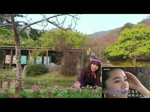 郭馨琦 心内事沒人知
