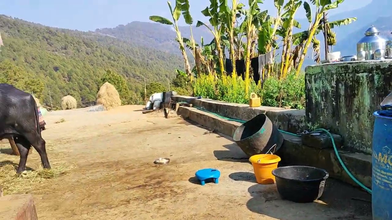 Emergency mai jana pada mummy ke pass❤️🙏