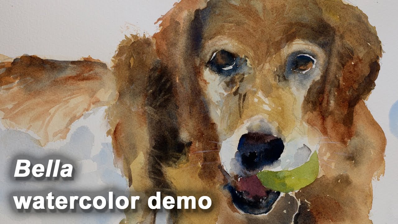 'Bella' watercolor demo by David Massey