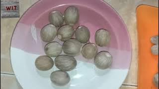 INFO HARGA BIJI PALA KUPAS/TANPA CANGKANG  DAN FULI HARGA TERBARU NOPEMBER 2021( AB,SS DAN BWP)
