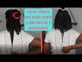 HOW I GREW MY NATURAL HAIR 2.5  INCHES IN 2 MONTHS!! | HOW TO EASILY GROW TYPE 4 HAIR FAST 2020