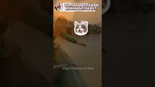Kucing Kedinginan dan Tangan Penyelamat‼️#shorts#cat#trending#shortsviral
