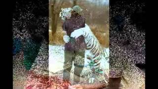 Kind   Generous Thankyou)   Music Video (Natalie Merchant