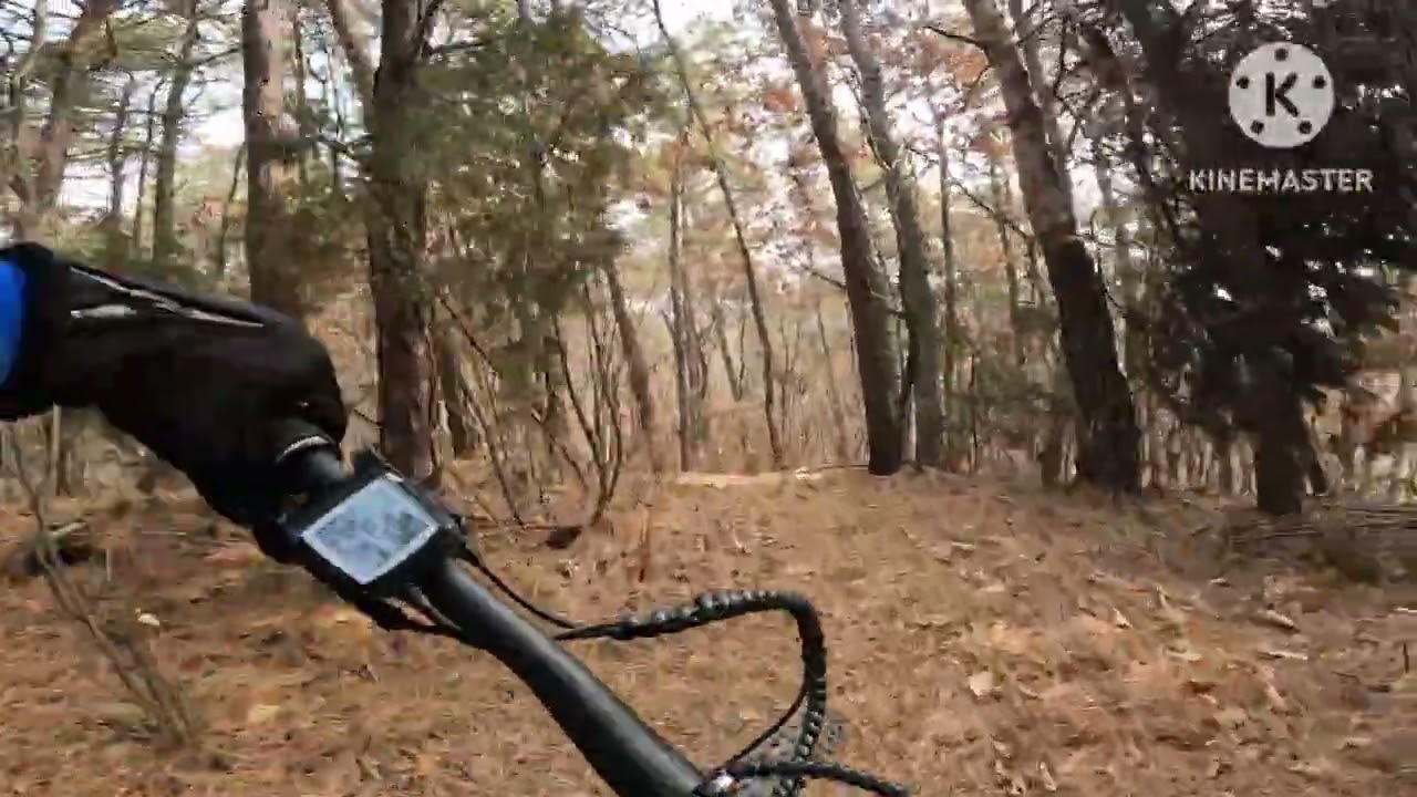  화성 해망산에 무슨일이 ??/ The 대포 침몰 ㅎ