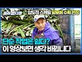 2백 만평 엄청난 규모의 밭에서 하루 60톤 알로에를 수확하는 압도적 현장│멕시코 알로에 수확│극한직업│#골라듄다큐