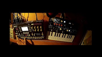 octatrack  and microfreak  #techno #octatrack #microfreak #peguin