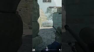 Brax Destroys With The Awp