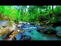 Pure River Soundscape 🌊 Calm Water Ambience for Deep Relaxation