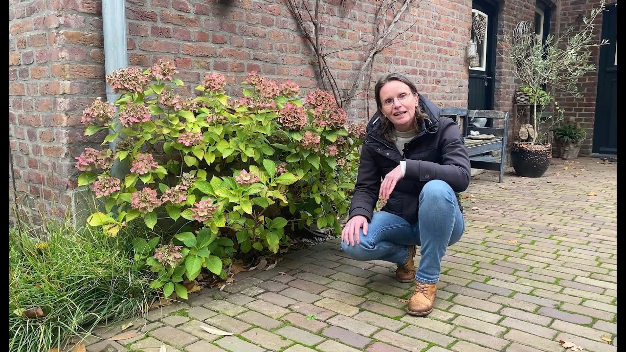 Tips voor een biodiverse tuin