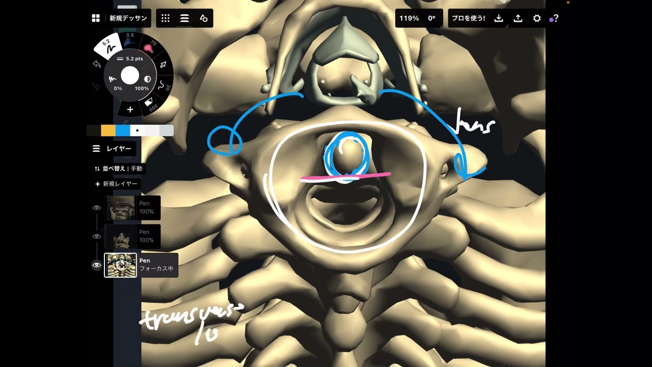 Quick overview of anatomy of upper cervical spines