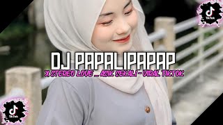 DJ PAPALIPAPAP X STEREO LOVE _ ASIK SEKALI DENGAR SAMPEK AKHIR - VIRAL TIKTOK