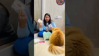 Still using the same filter for months? Your cat deserves fresher water!