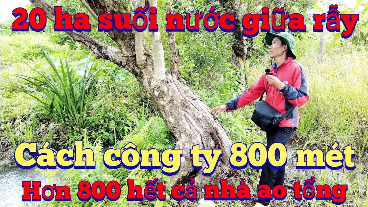 Đã bán 20 héc vườn cây đất đen 2 ao nhà ,lh 0983803253
