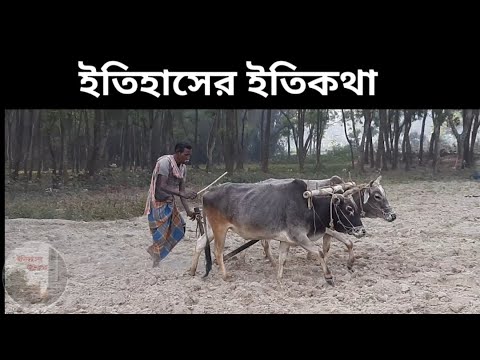 ভিডিও: তুষার লাঙলের কাজ কী?