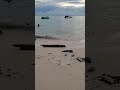 Pantai, laut dan sunset yang indah (beautiful beach, sea and sunset) #shorts