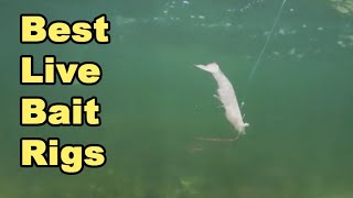 Top 3 LIVE BAIT RIGS For Inshore Fishing (To Rig Shrimp, Pinfish, Mullet, &  More) 