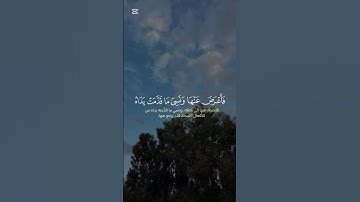 قران كريم ♥️♥️ #اكسبلور #الرحمن #لايك