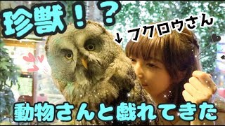 ★咲乃散歩Vlog☆２歩目★〜珍獣！動物さん達大集合だわいわい〜