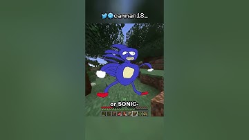 Minecraft, But Biomes Give Random Effects...