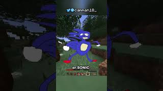 Minecraft, But Biomes Give Random Effects...