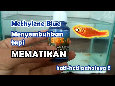 Video: Adakah metilena biru berbahaya?