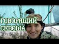 Говорящий скворец Скво