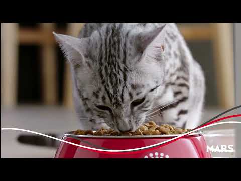 Mars builds on long-term U.S investment with the opening of 450M Royal Canin facility in Ohio