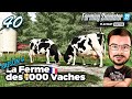 De nouveau champs   les 1000 vaches  episode 40