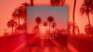Facundo Mohrr - The Snake Poetry