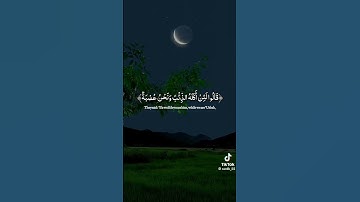 قرآن كريم بصوت جميل 🤎 #اكسبلور #لايك #دويتو #تيك_توك #ترند