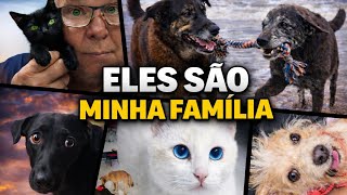 Orelha e Pretinha, a adoção da gatinha e a Gangue do Caramelo | Um vídeo que emociona
