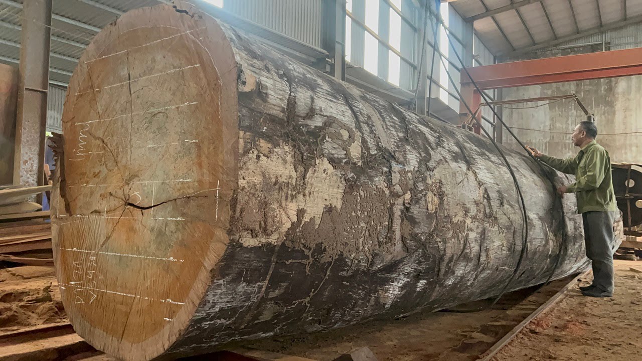 The World's Largest Wood Factory | Excellent Sawmill Extreme Techniques ...
