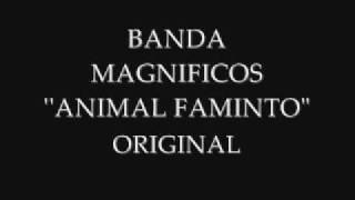 Video thumbnail of "BANDA MAGNIFICOS - ANIMAL FAMINTO"