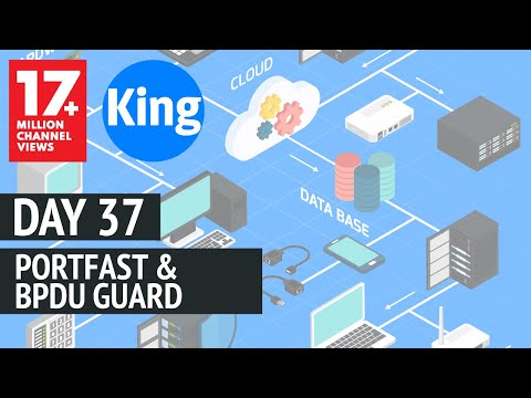 Free CCNA | PortFast & BPDUGuard - Day 37 | 200-301 | Cisco Training 2020