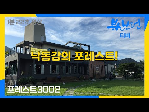 부산스런티비57 : #부산시​​ #강서구​ #포레스트3002 #스피츠
