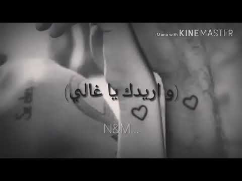 واريدك ياغالي اغنيه نور زين