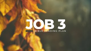 Job 3