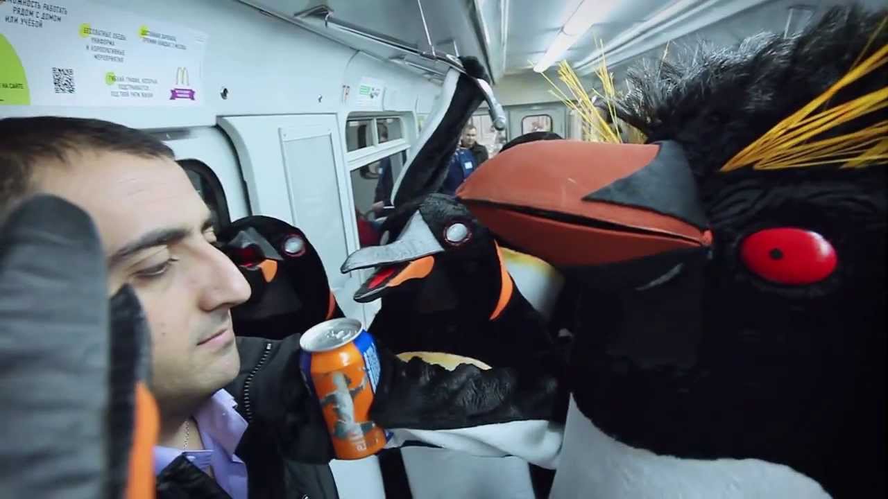 Пингвины в метро