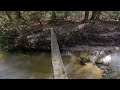 Florida Trail