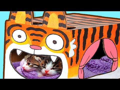 Das beste Katzenhaus basteln – mit Kitten ???? | DIY-Karton-Projekte bei Box Yourself