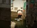 The viral Japanese ninjas!