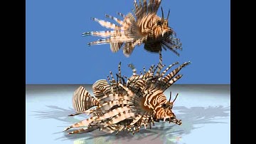 Solid Simulation with Oriented Particles
