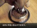 ペットの早食い防止【ポーションペイサー】