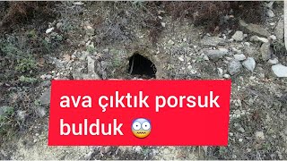 Ava Çıktık Porsuk Bulduk
