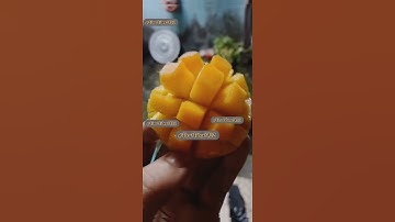 Allah will make a way out for you|Tawakal|#viral#vibes#motivation#love#allah#tawakkul#islamic#video