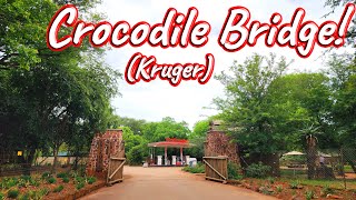S1 – Ep 442 – Crocodile Bridge Rest Camp!