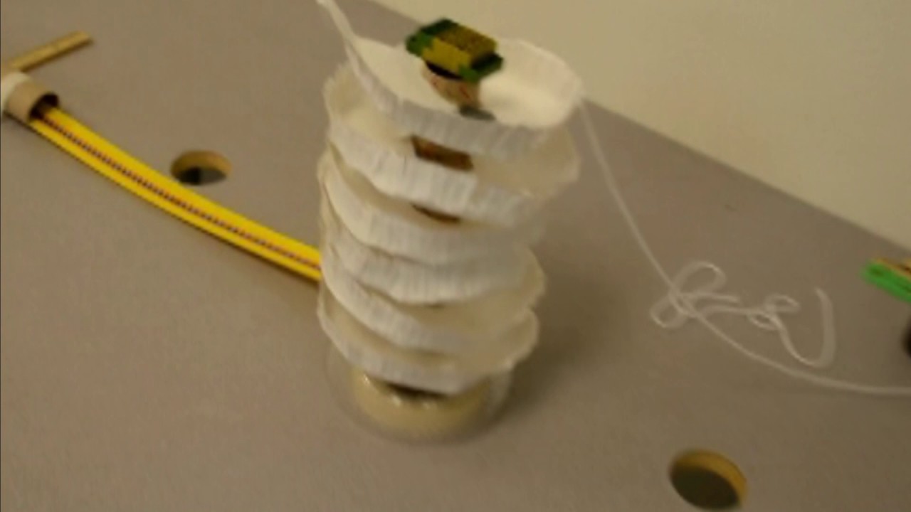 Rube Goldberg Machine Physical Science Class 2016 YouTube