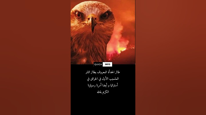 طائر خطير أمرنا الرسول بقتله.            #معلومات #معلومة #ترند #الجزائر